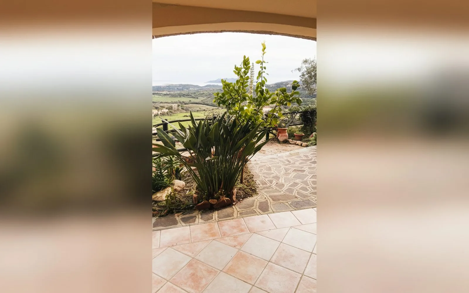 Nido d'Amore su Tavolara,  — galleria foto 31