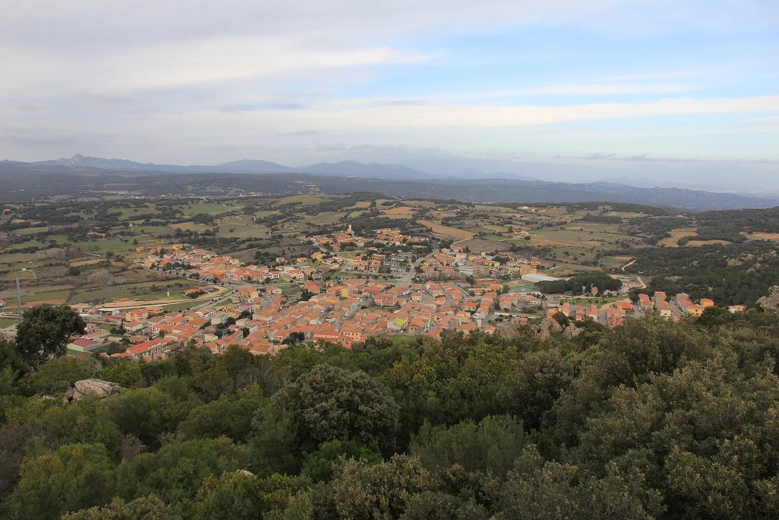 Panorama del paese di Monti in Gallura visto dall'alto, tra campi, querce e colline, con le montagne sullo sfondo