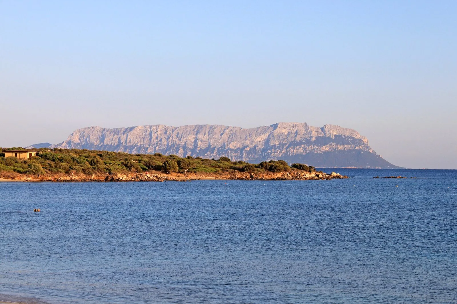 Isola di Tavolara nella luce calda del tramonto, vista dalla costa con macchia mediterranea e mare calmo in primo piano